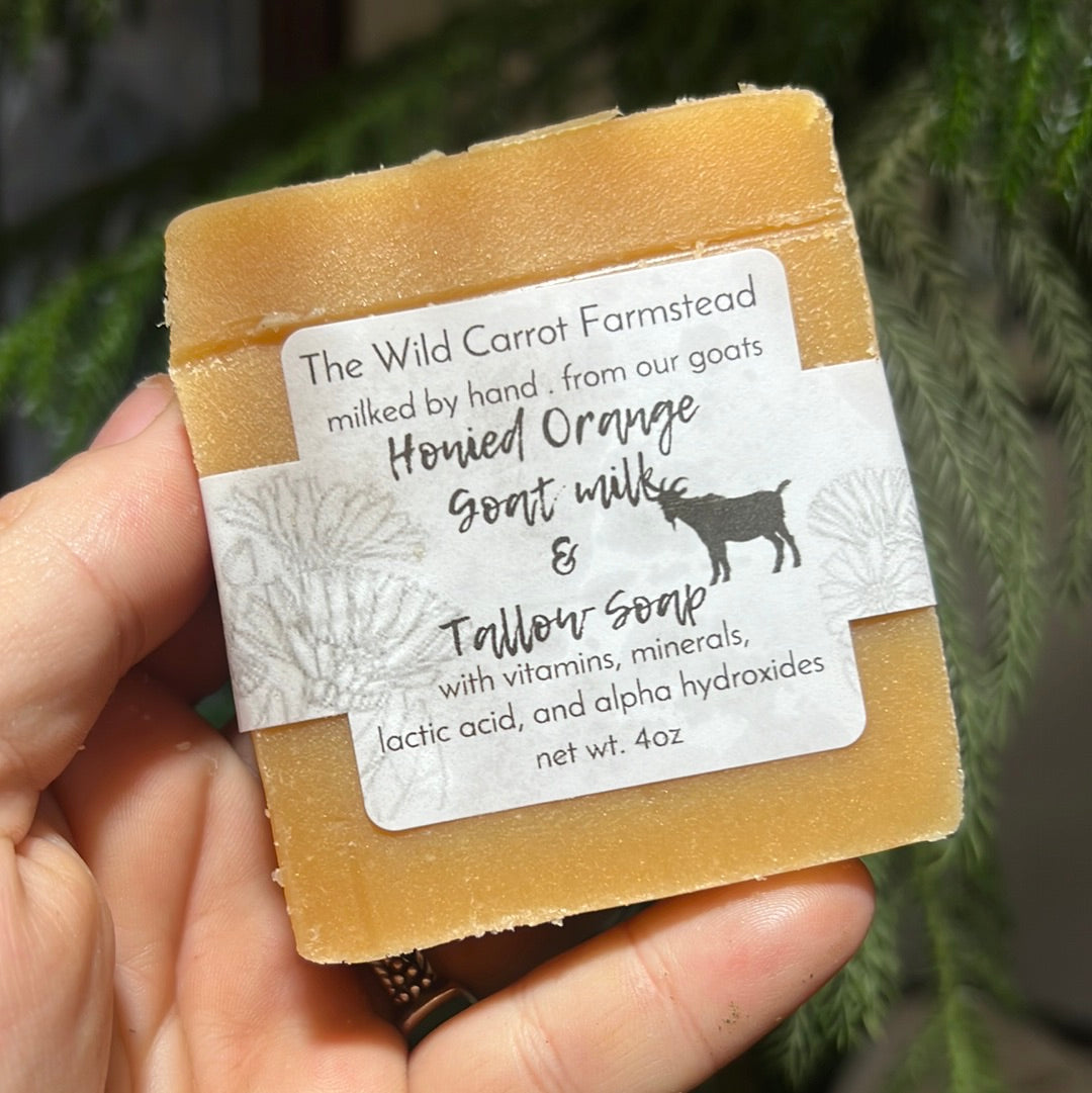 Orange Honied Goat Milk & Tallow Soap (4oz)