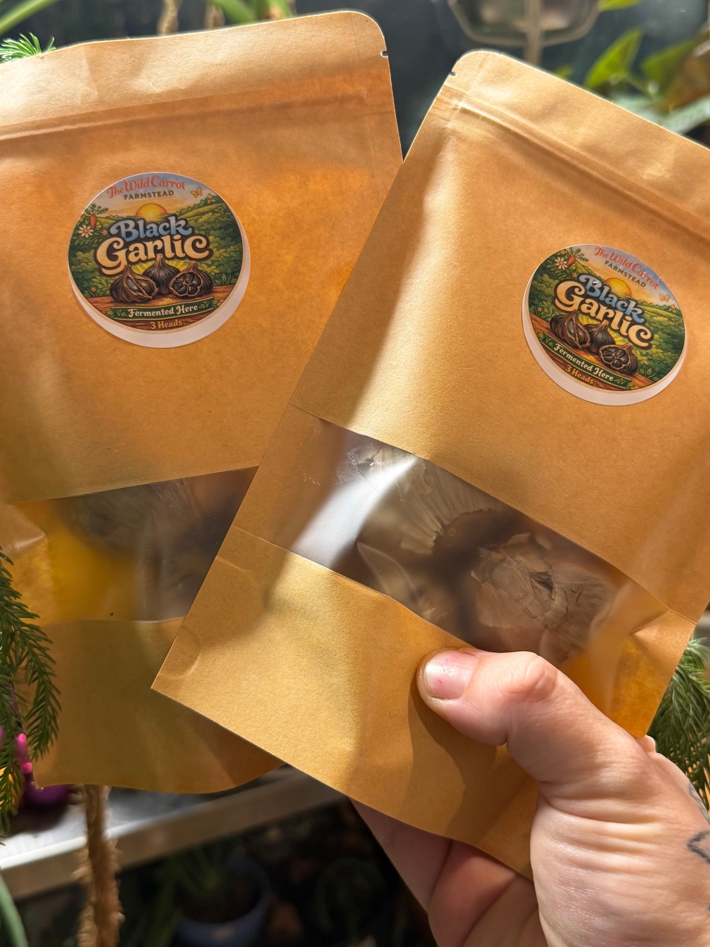 Black Garlic (3 farm grown heads in burlap bag)