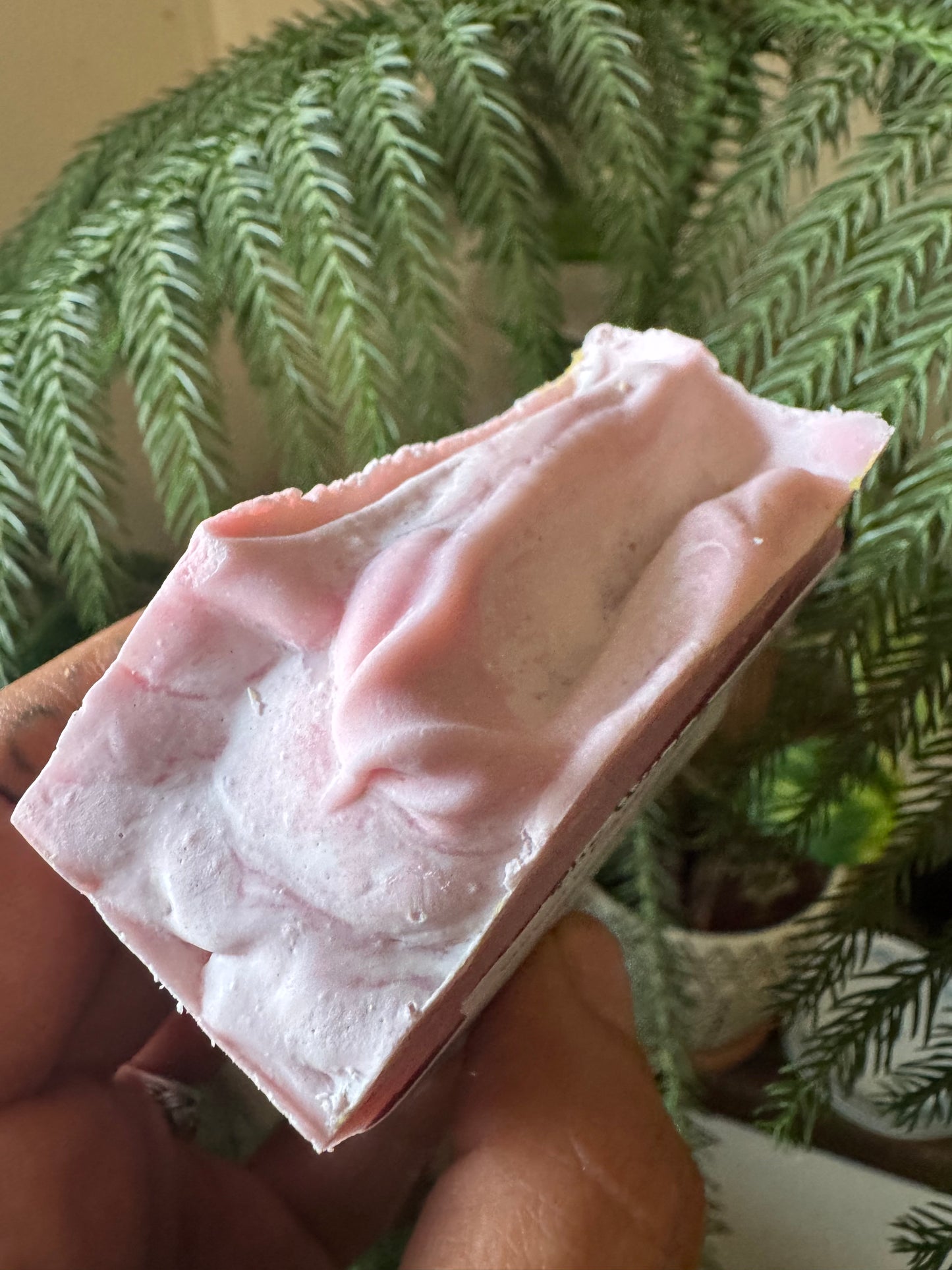 Rose Hips Goat Milk & Farm Fats Soap (7oz Bar)
