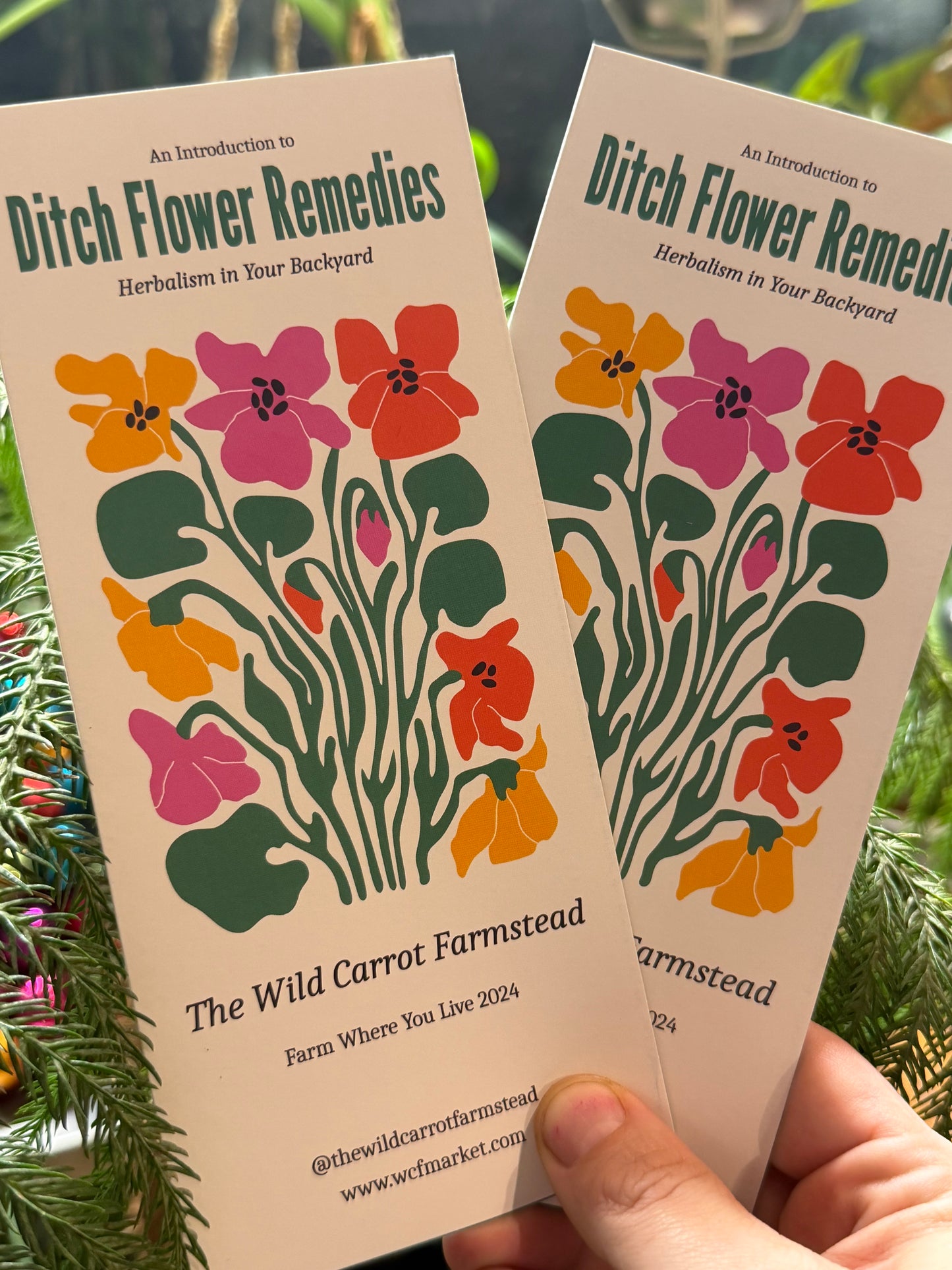 Ditch Flower Foraging: Herbalism in Your Backyard