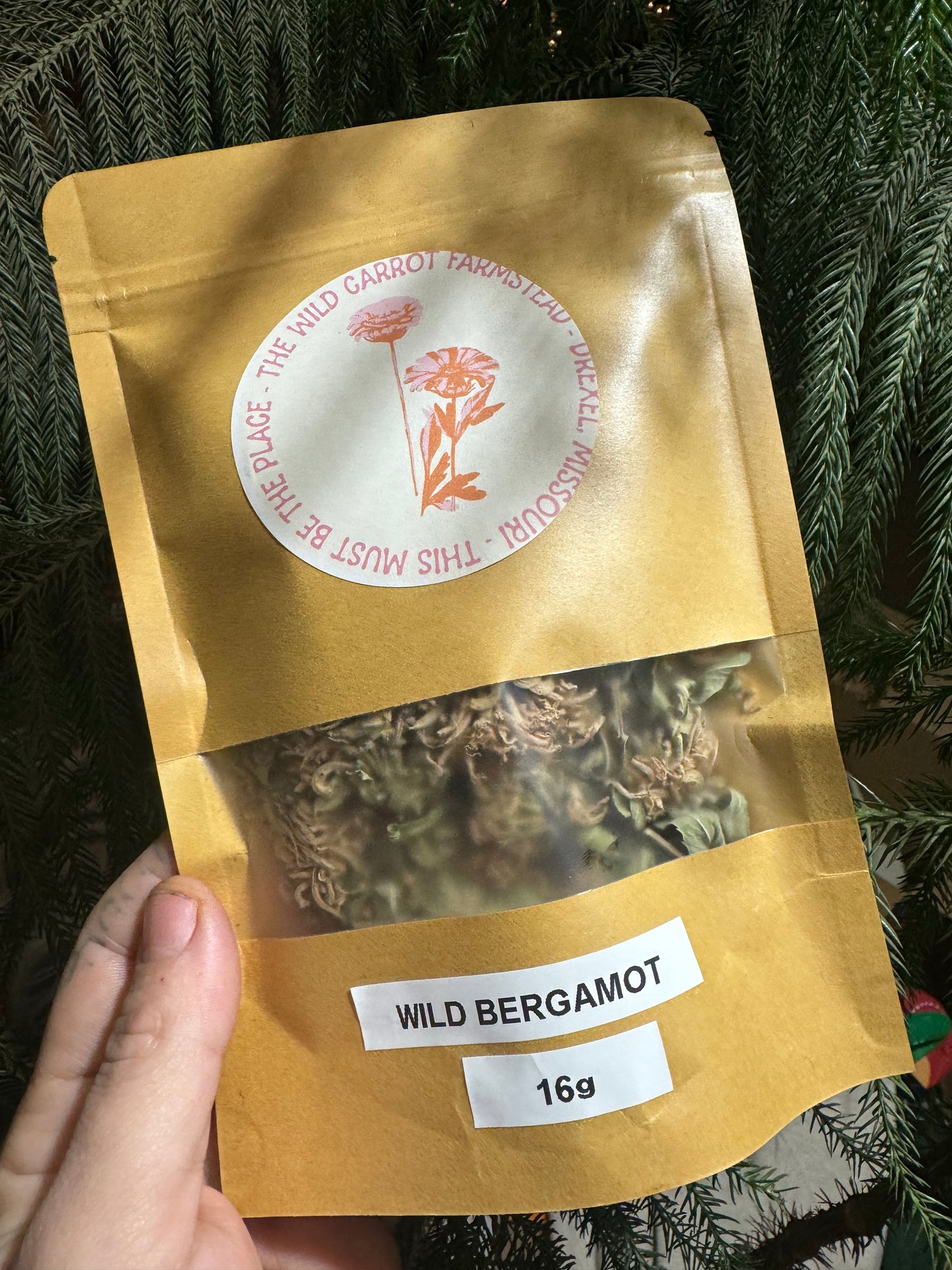 Wild Bergamot/Bee Balm Dried (4g)