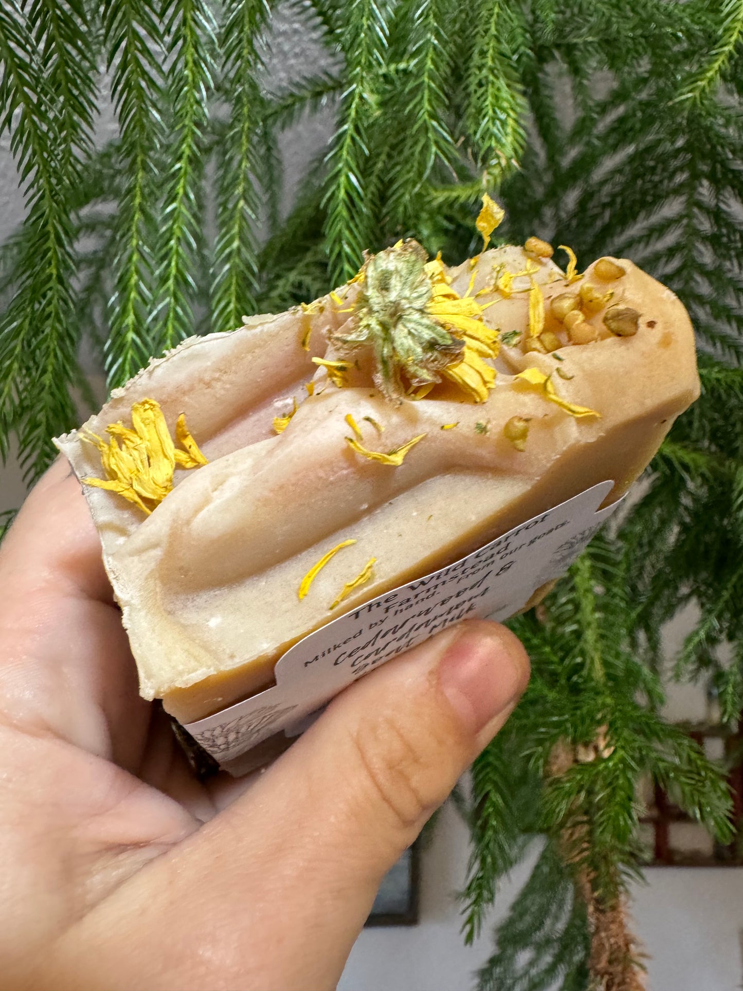Cedarwood and Cardamom Goat Milk Soap (7oz bar)