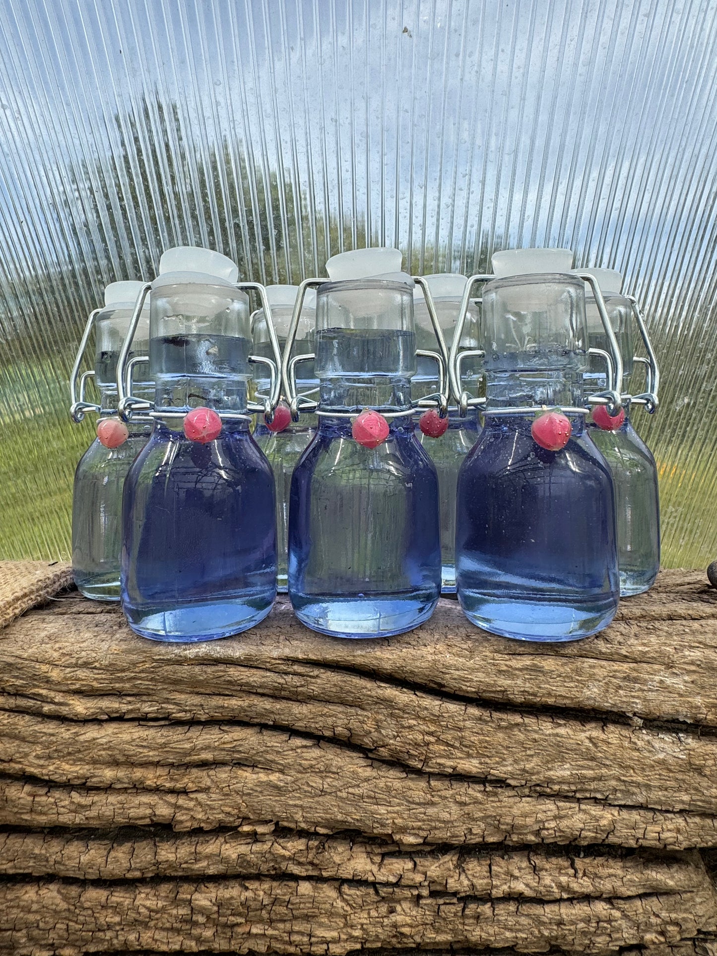 Blue Bliss Glycerite (4oz swing-top glass bottle)