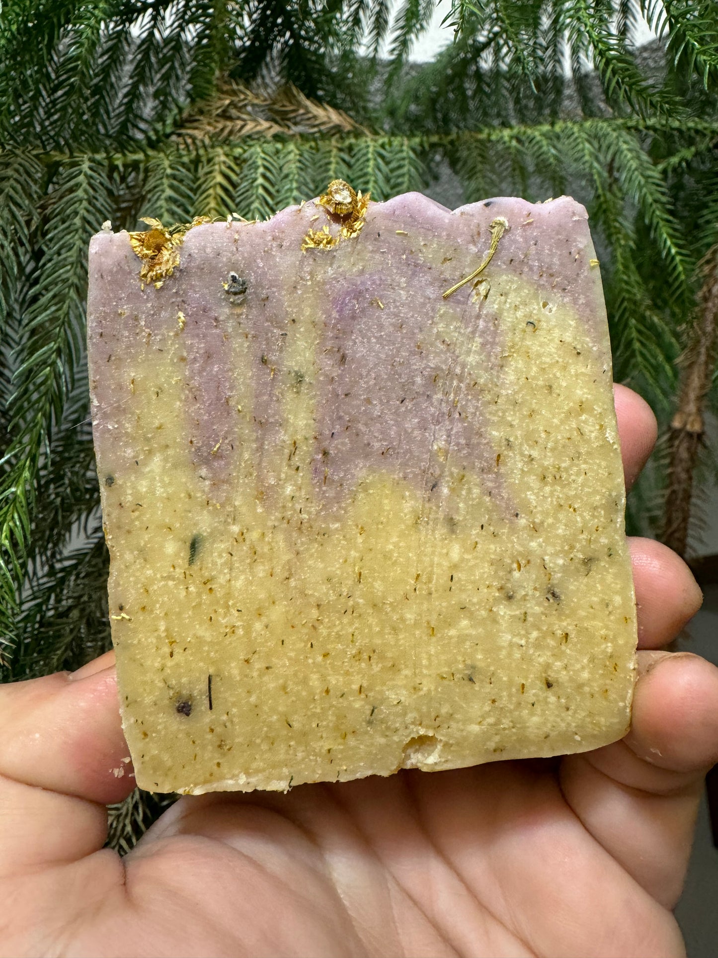 Chamomile Dream Tallow and Goat Milk Soap (7oz Bar)