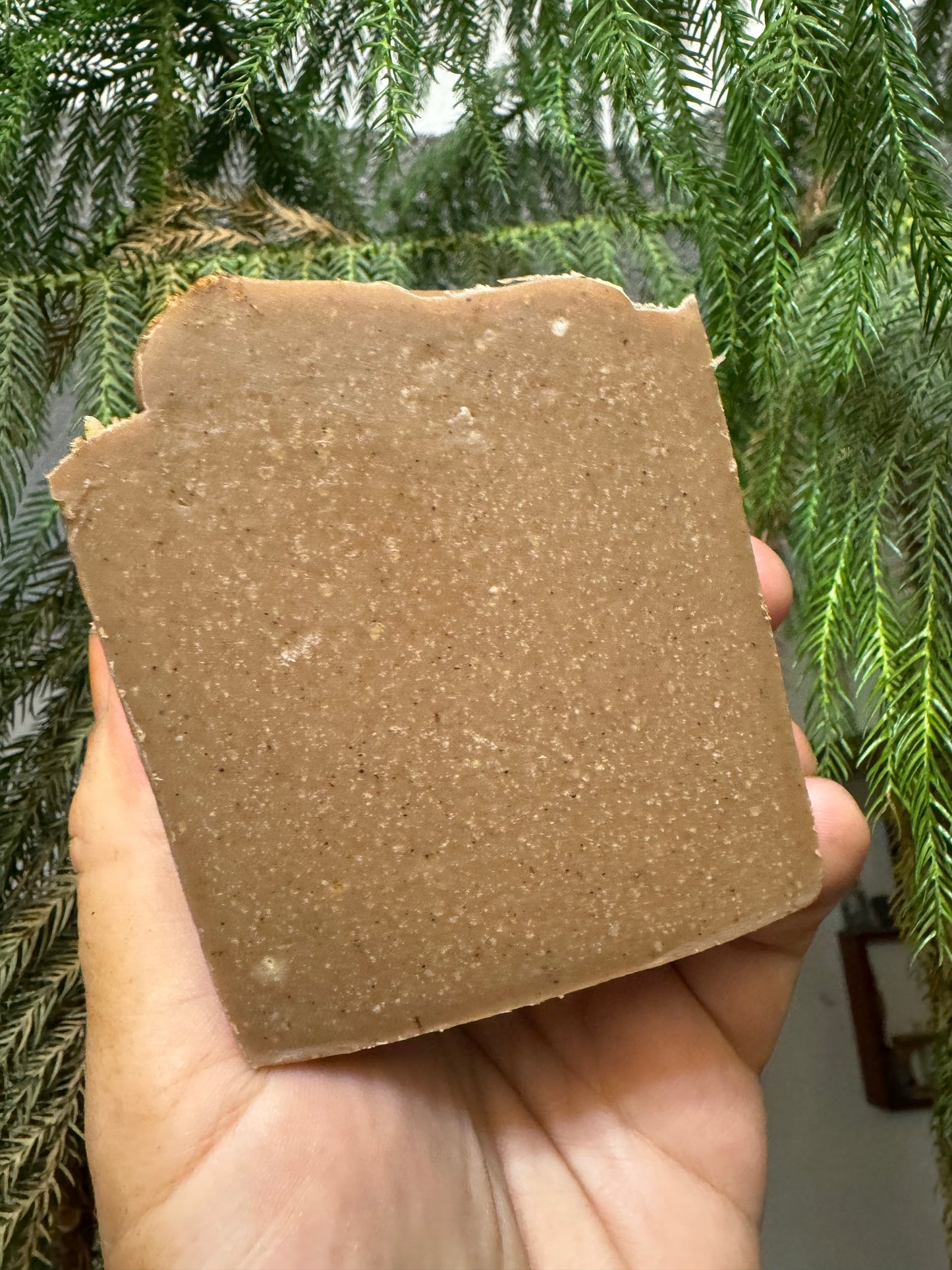 Pumpkin Spice Tallow and Goat Milk Soap (7oz Bar)
