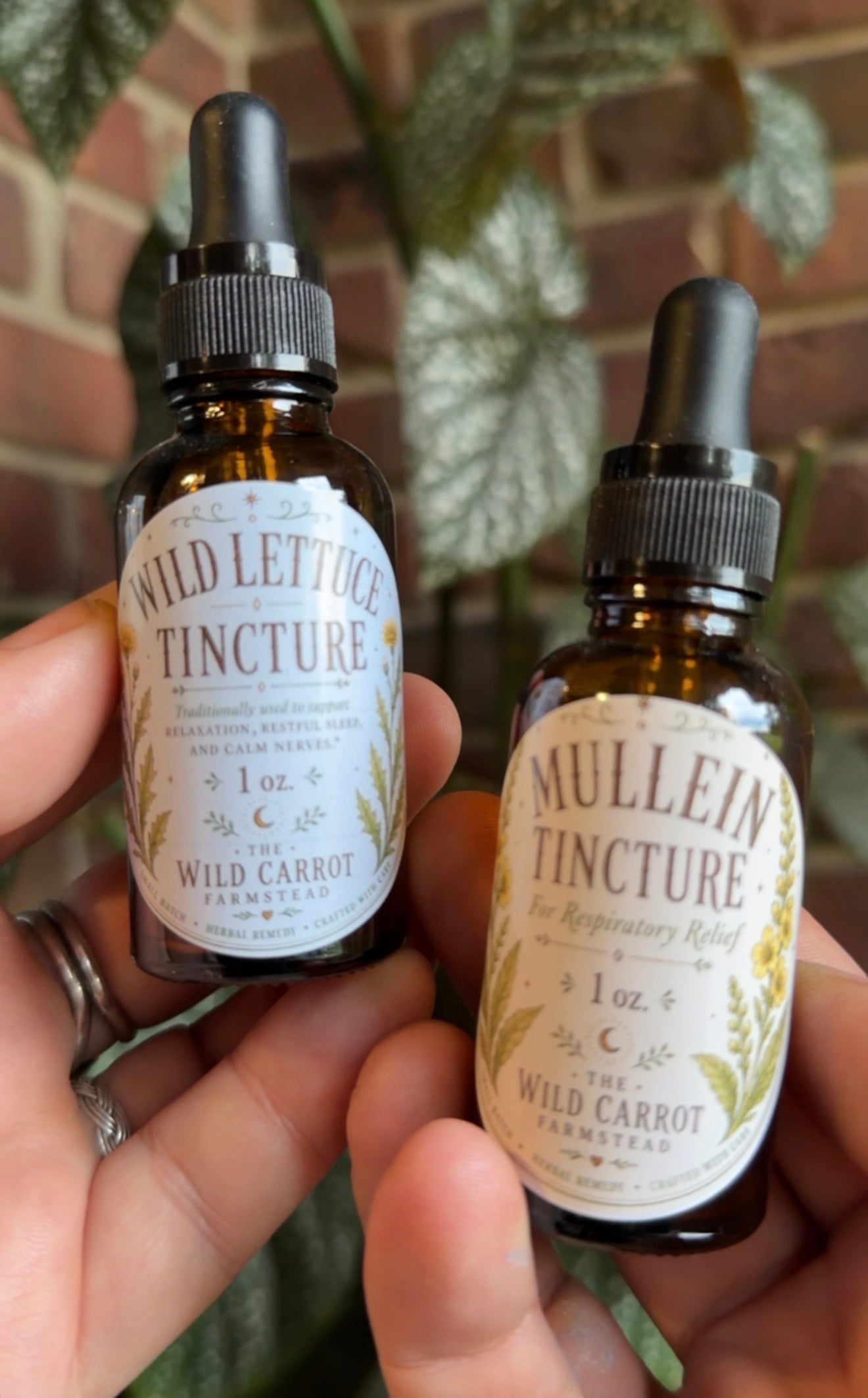 Mullein Tincture (1oz dropper bottle)