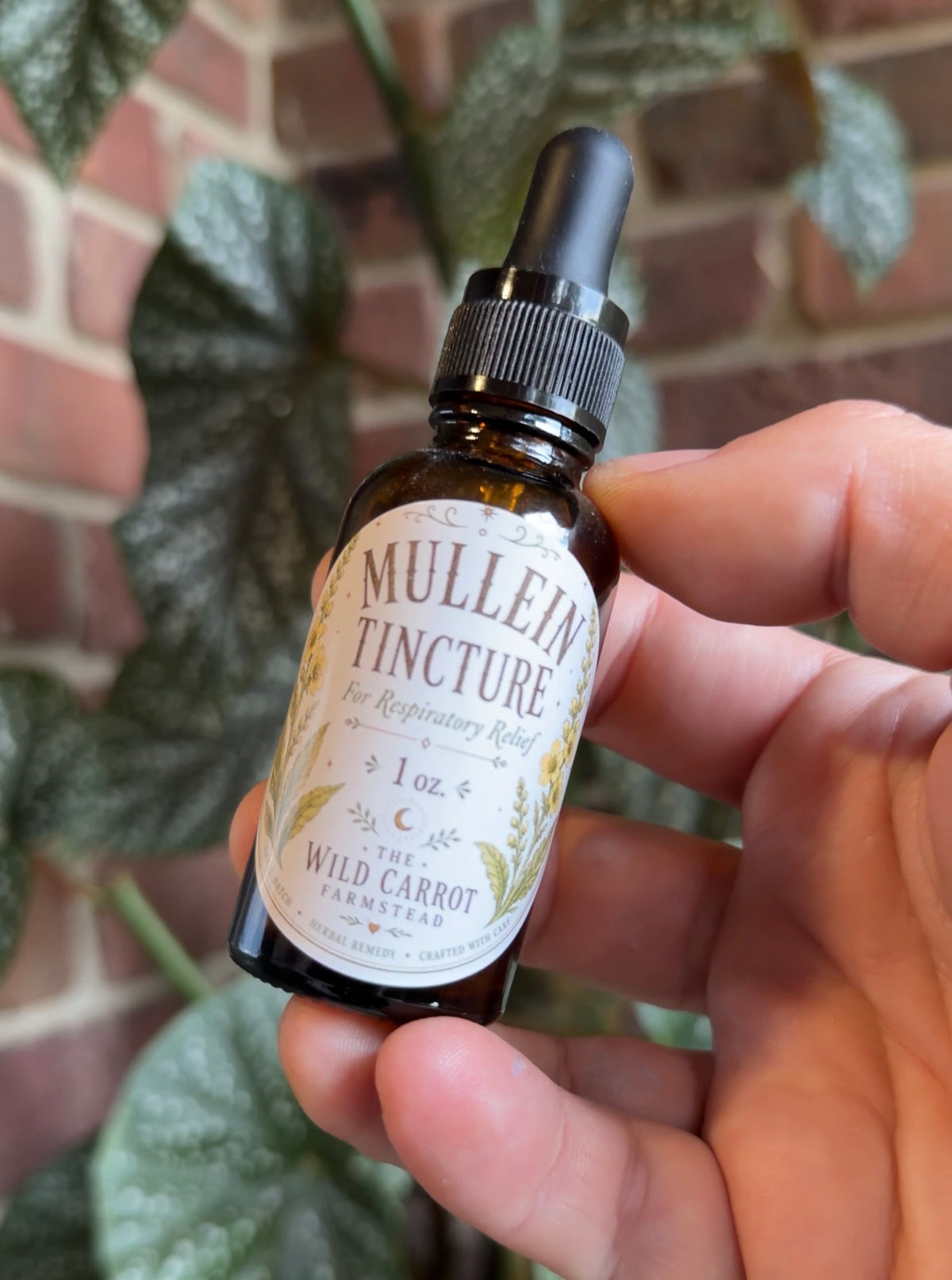 Mullein Tincture (1oz dropper bottle)