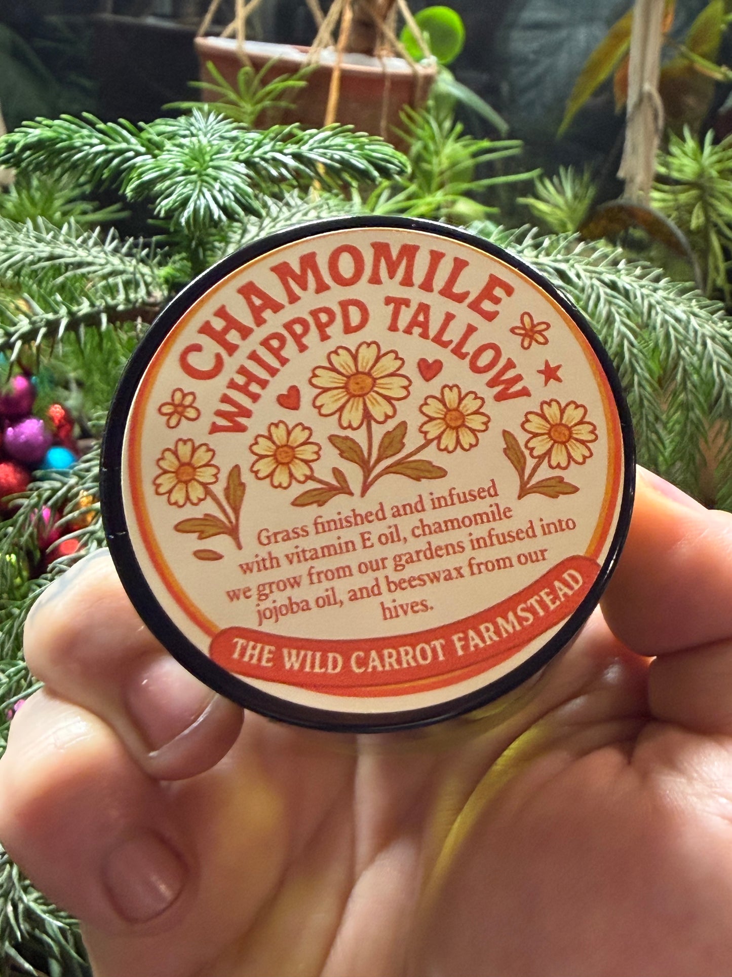 Chamomile Whipped Tallow (glass jar)