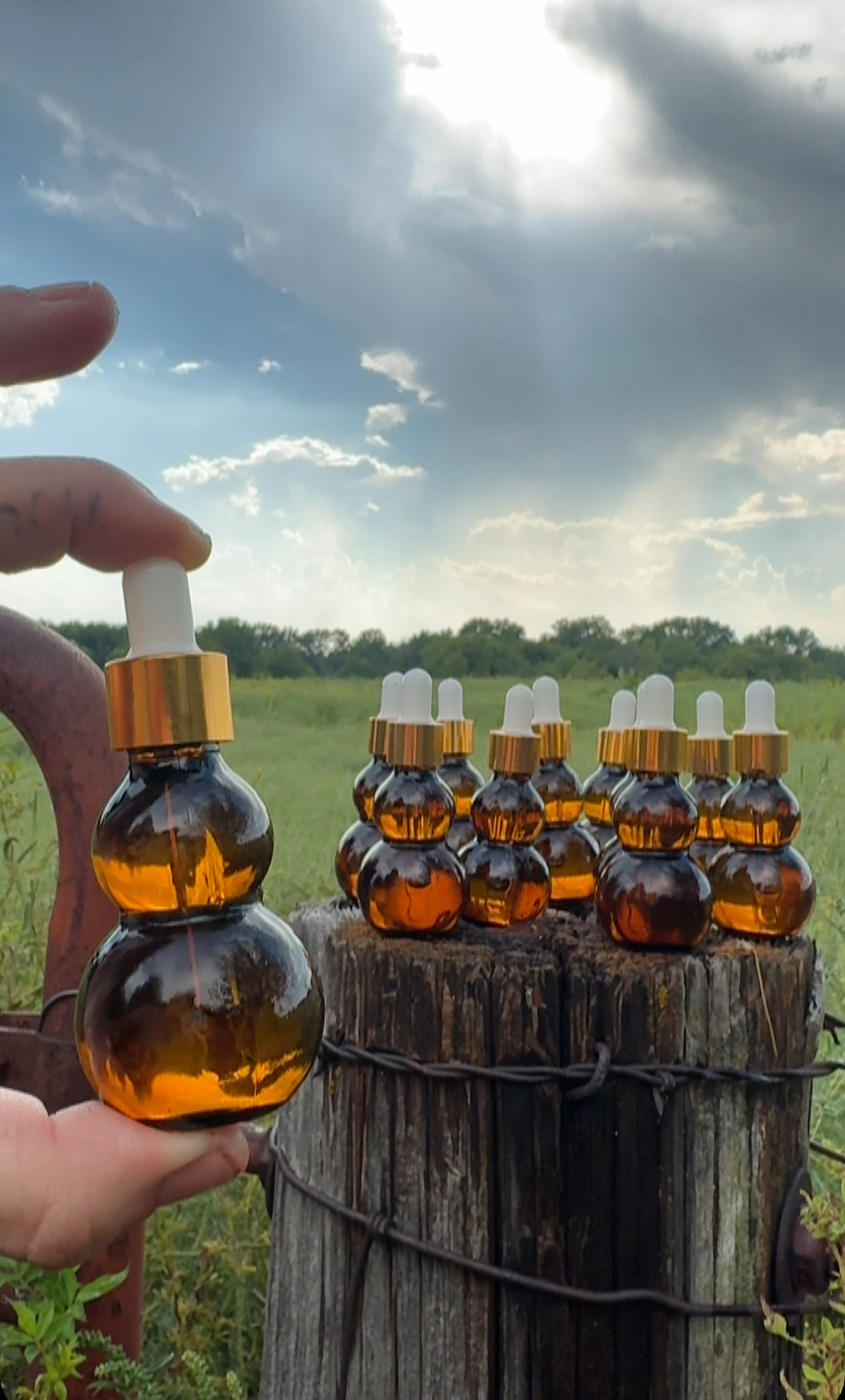 Electric Daisy (Buzz Button) Notox Fauxtox Botox Botanical Elixir (2oz bubble dropper bottle)