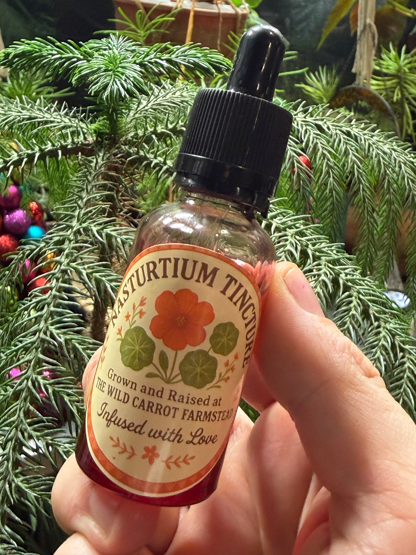 Nasturtium Tincture (2oz red glass dropper bottle)