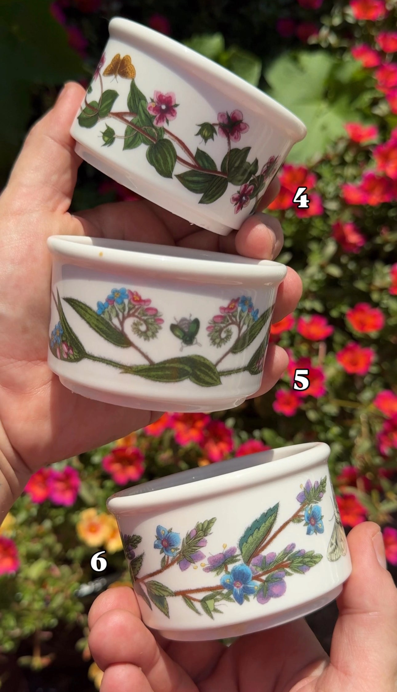 Botanic Garden Ramekin Dish Soap Set (2-Piece) + Palm Brush — Wild Bergamot & Lavender