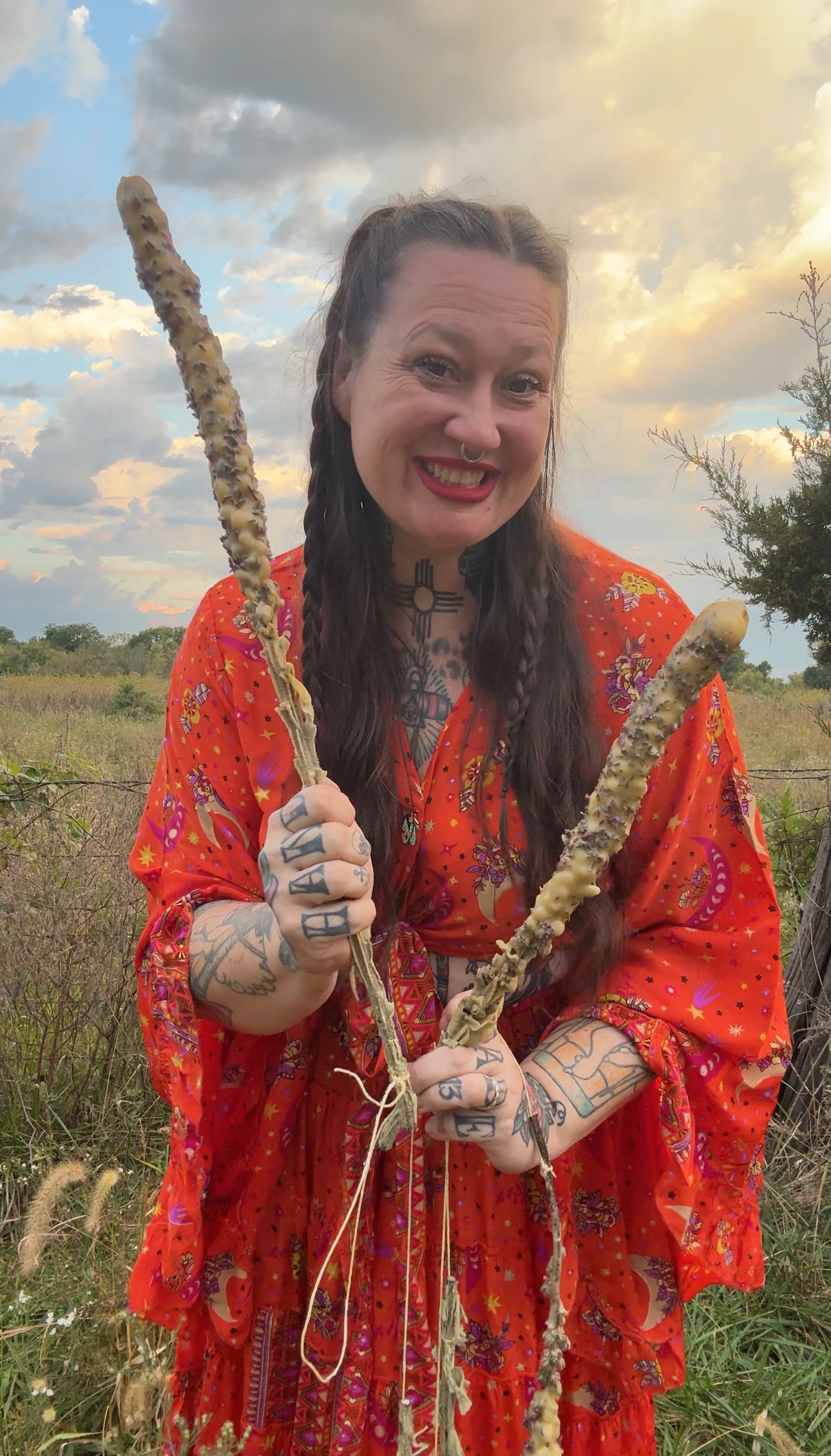 Mullein Torches (limited batches dropping every other Friday)
