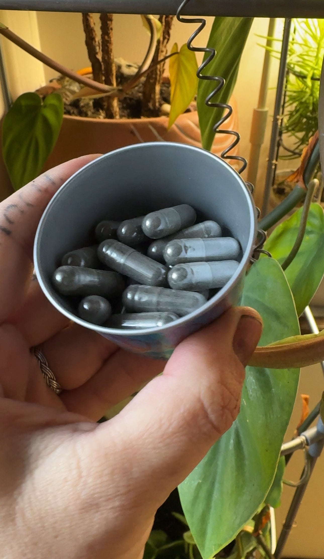 Gentle Gut Binder for Detox Protocols (powder or capsule form)