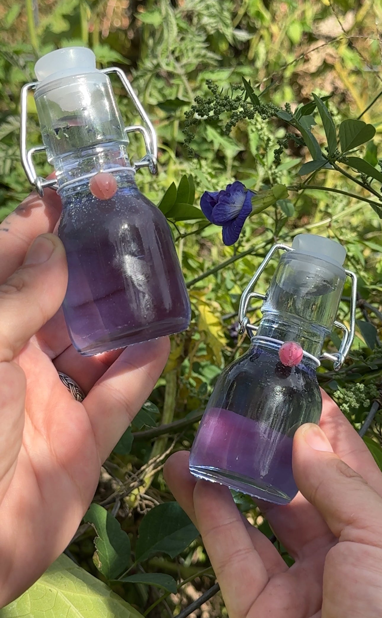 Blue Bliss Glycerite (4oz swing-top glass bottle)