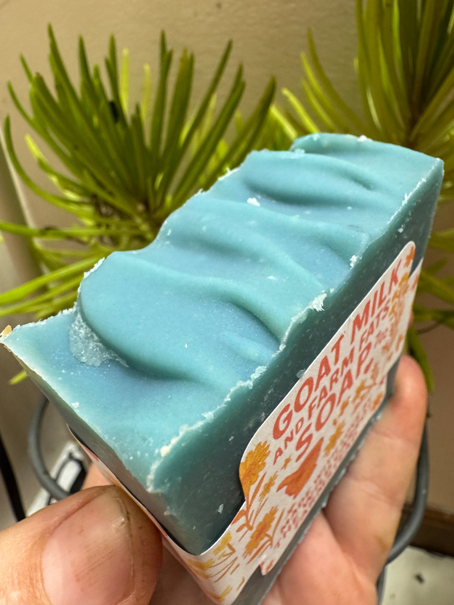 Drain & Flush Magnesium Goat Milk Soap Bar (large 7oz bar)