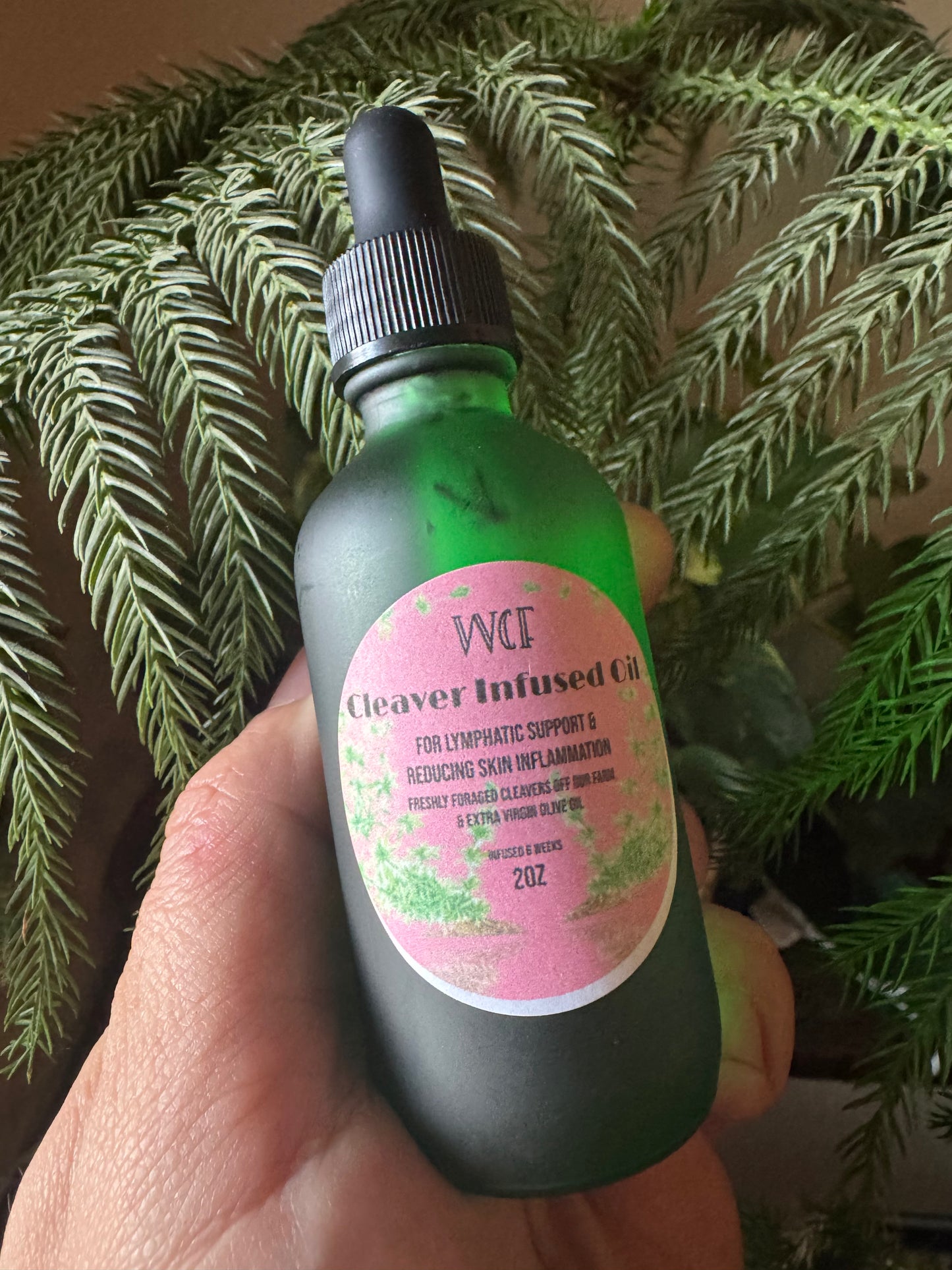 ✨SALE✨ Cleavers Infused Oil (2oz frosted green glass dropper bottle)