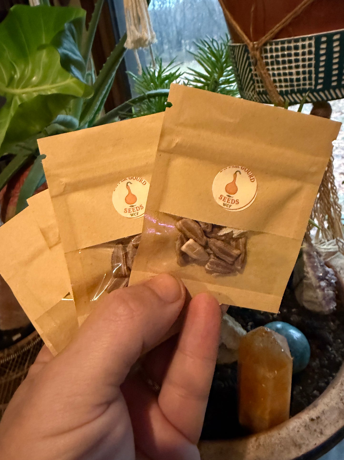 WCF Dipper Gourd Seeds (8-10 per pack)