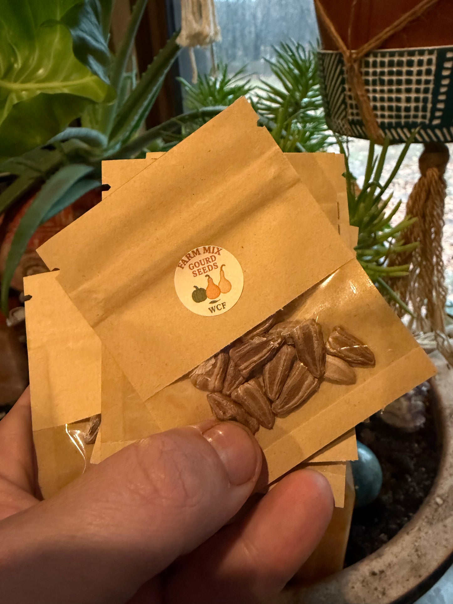 Cherokee Heirloom Mixed Gourd Seeds (8-10 seeds per pack)