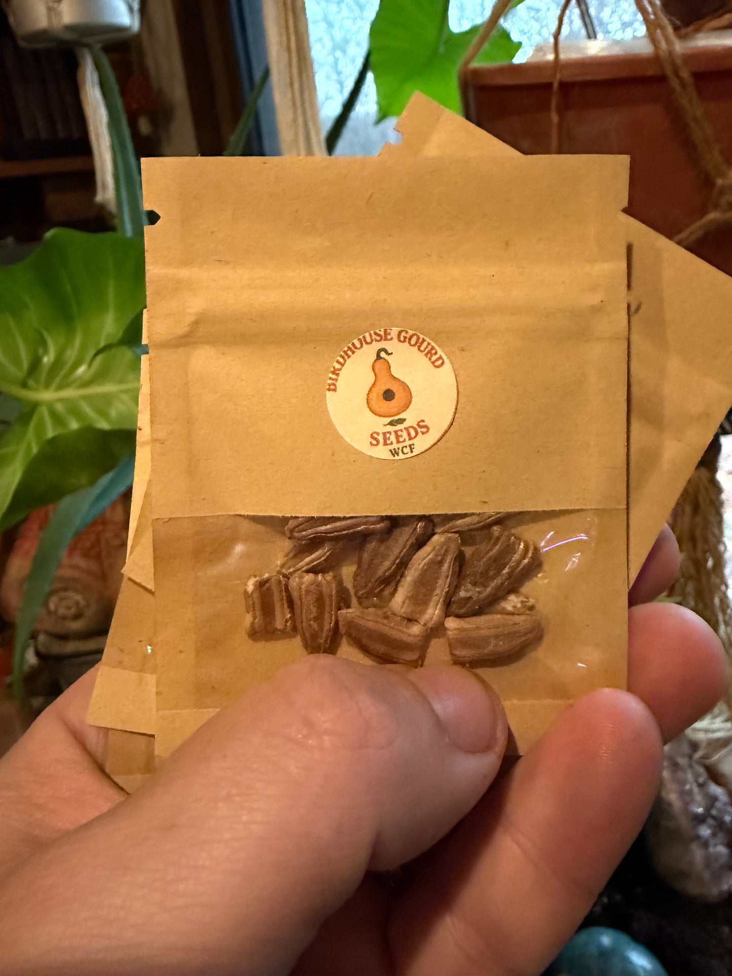 WCF Birdhouse Gourd Seeds (8-10 seeds per pack)