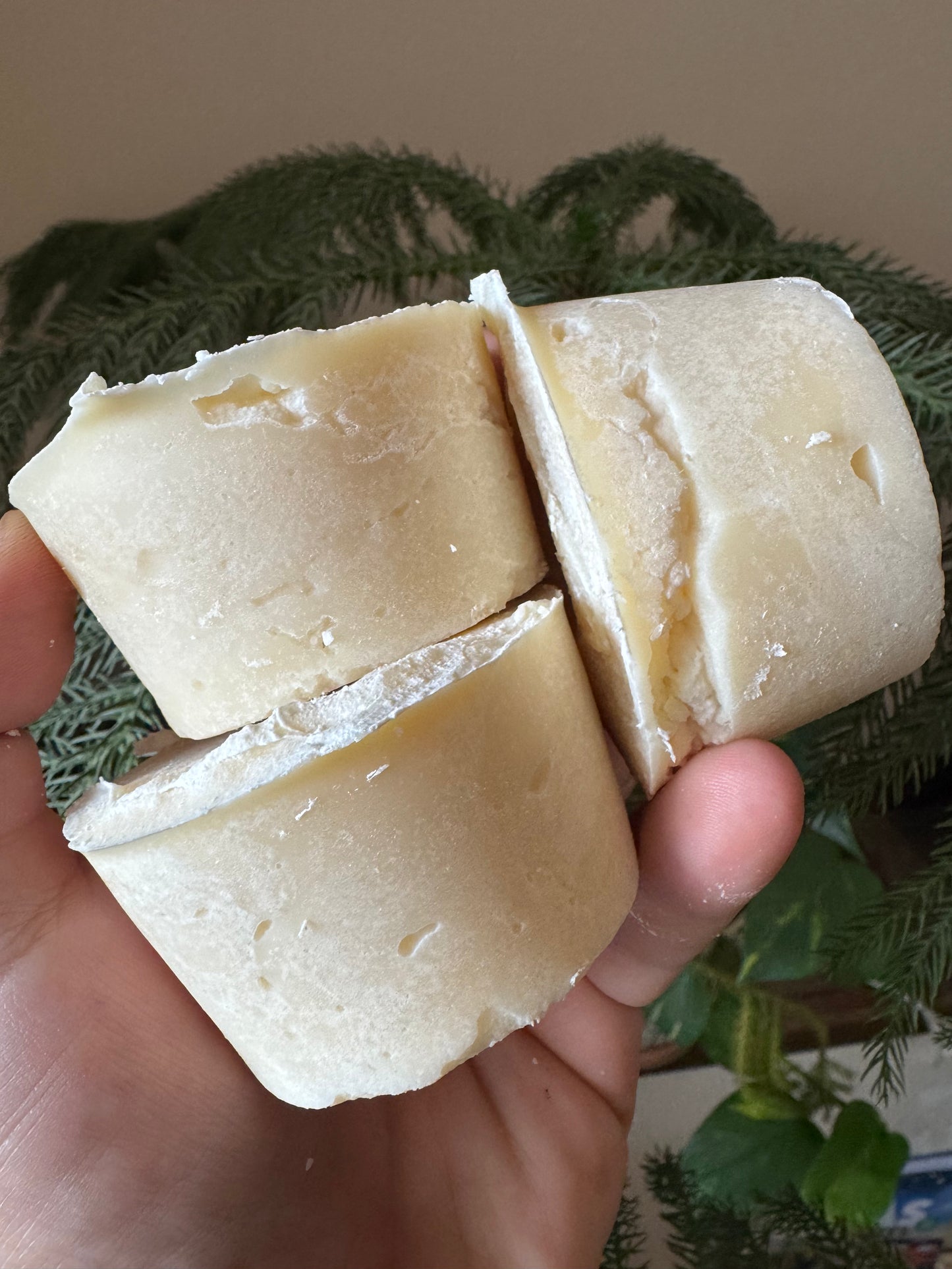 Tallow Dish Soap Puck *REFILL ONLY*