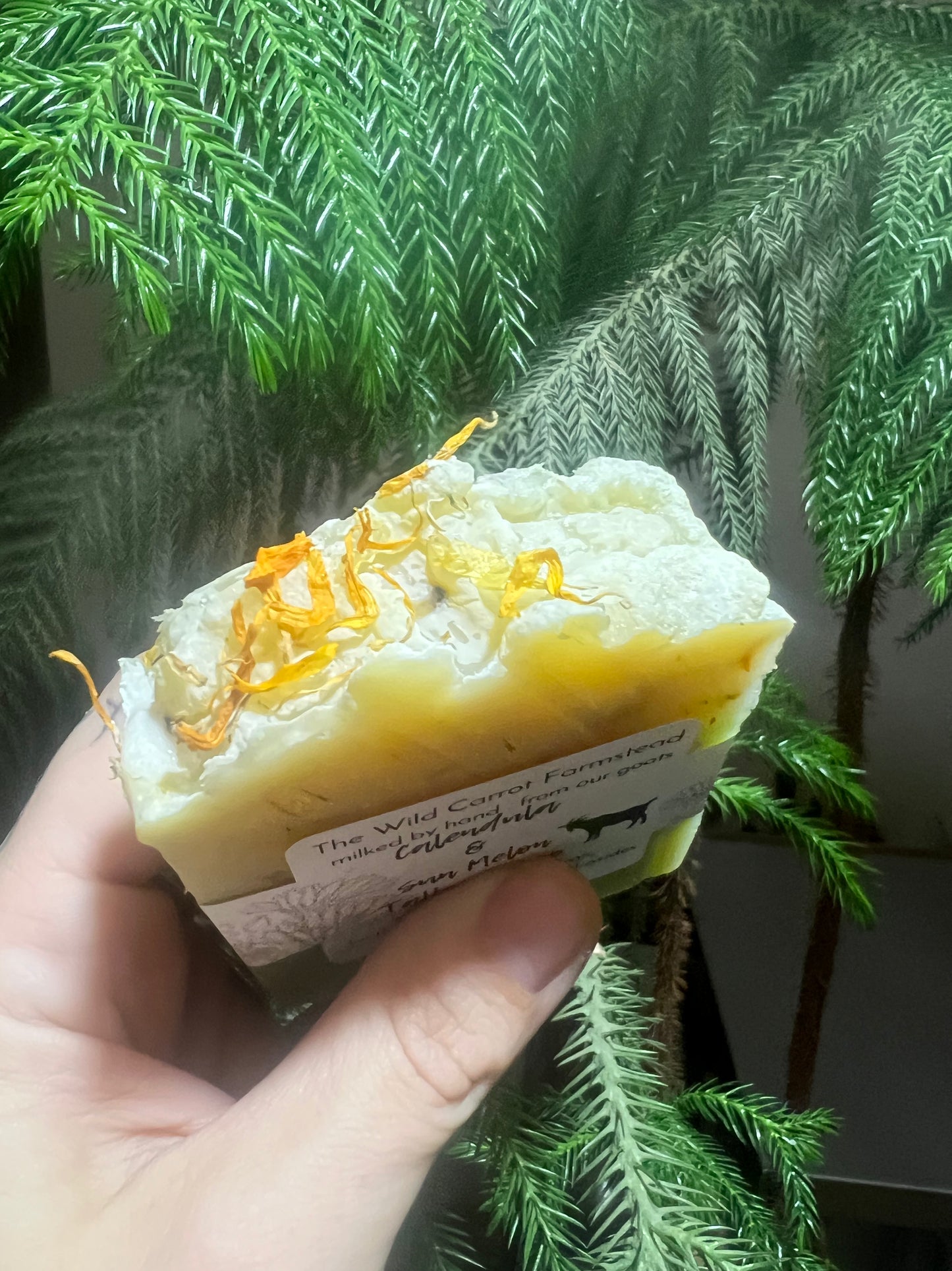 Calendula & Sun Melon Tallow Soap Bar (4oz)