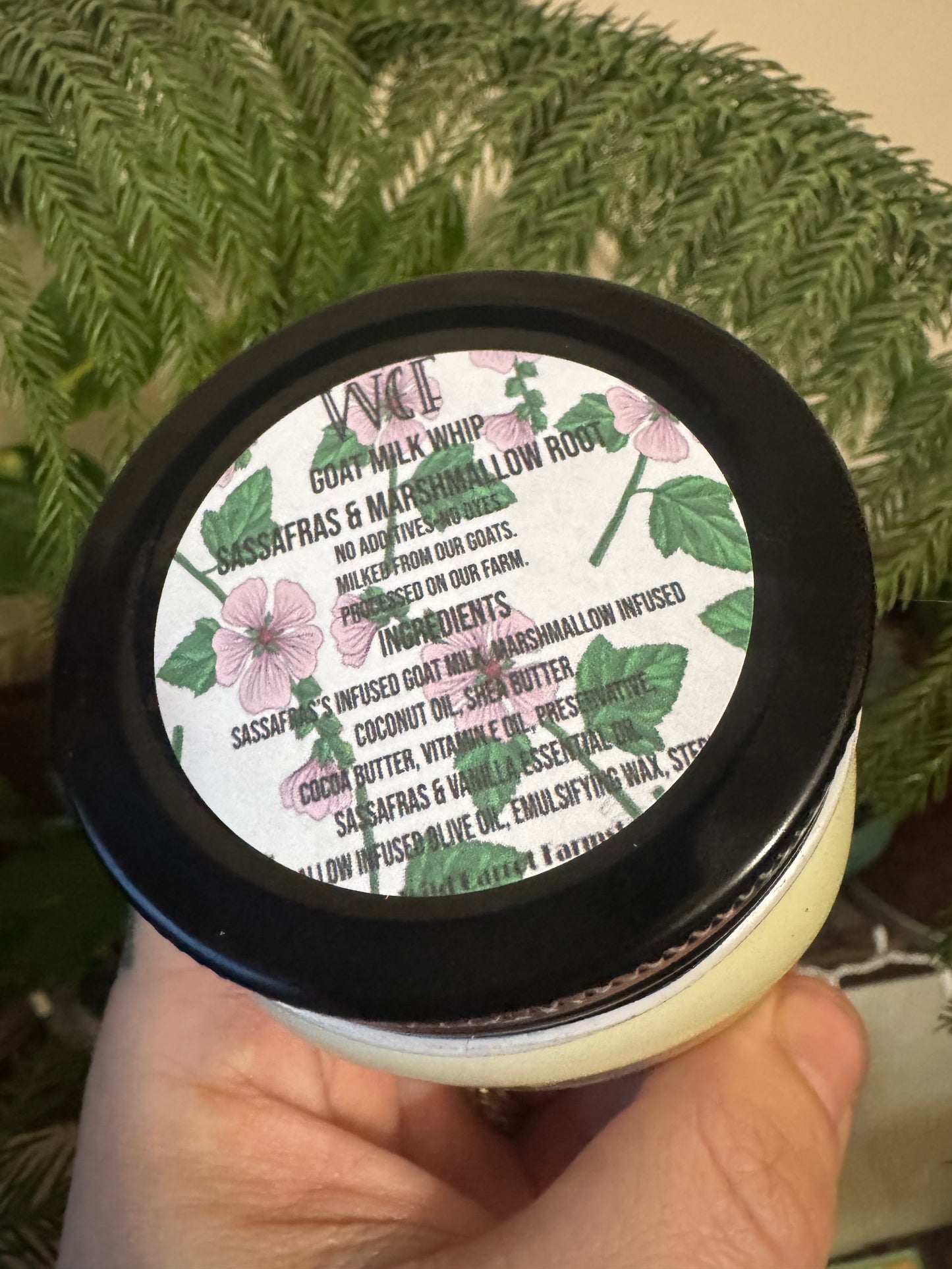 Sweetwater Cream Goat Milk Whip (Sassafras & Marshmallow Root 8oz glass jar)