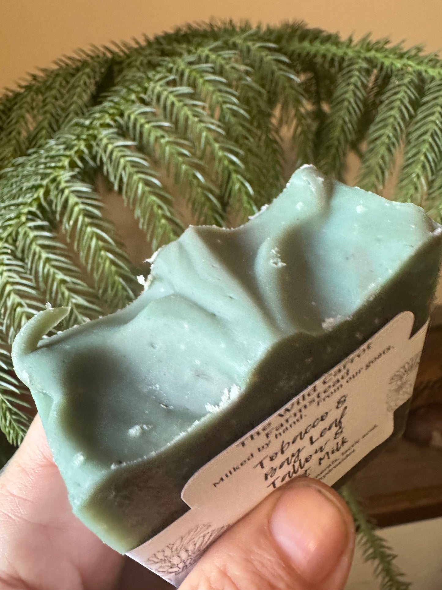 Tobacco and Bay Leaf Tallow and Goat Milk Soap (new look same infusions 7oz bar)