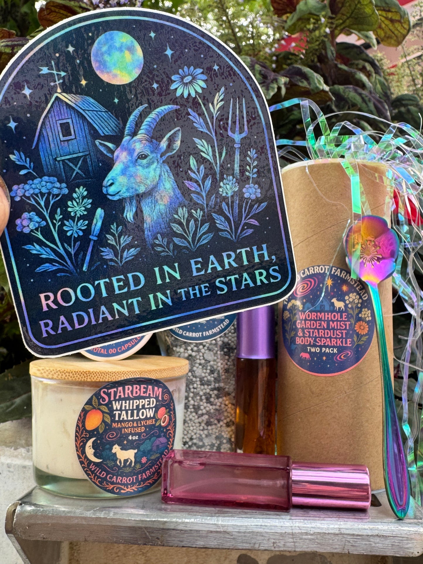 Rooted Sticker 3.5”