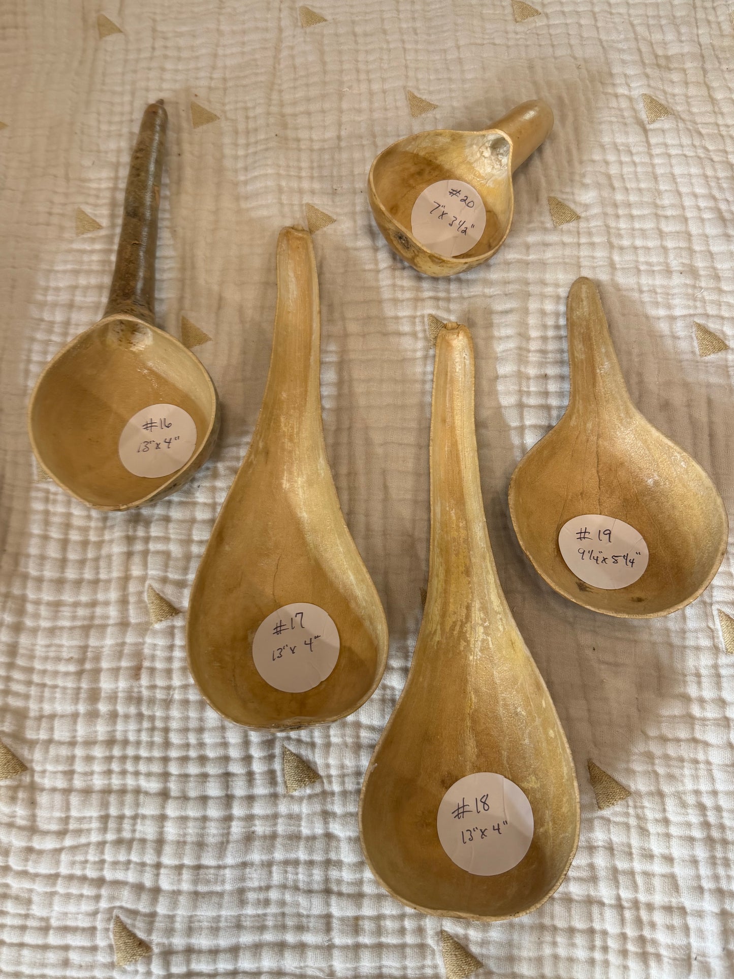 Seed-to-Bowl Gourds, Ladles, and Birdhouses (farm grown & crafted from beginning to end)
