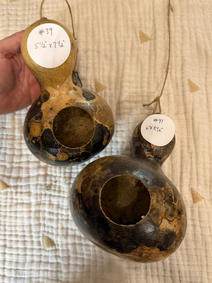 Seed-to-Bowl Gourds, Ladles, and Birdhouses (farm grown & crafted from beginning to end)