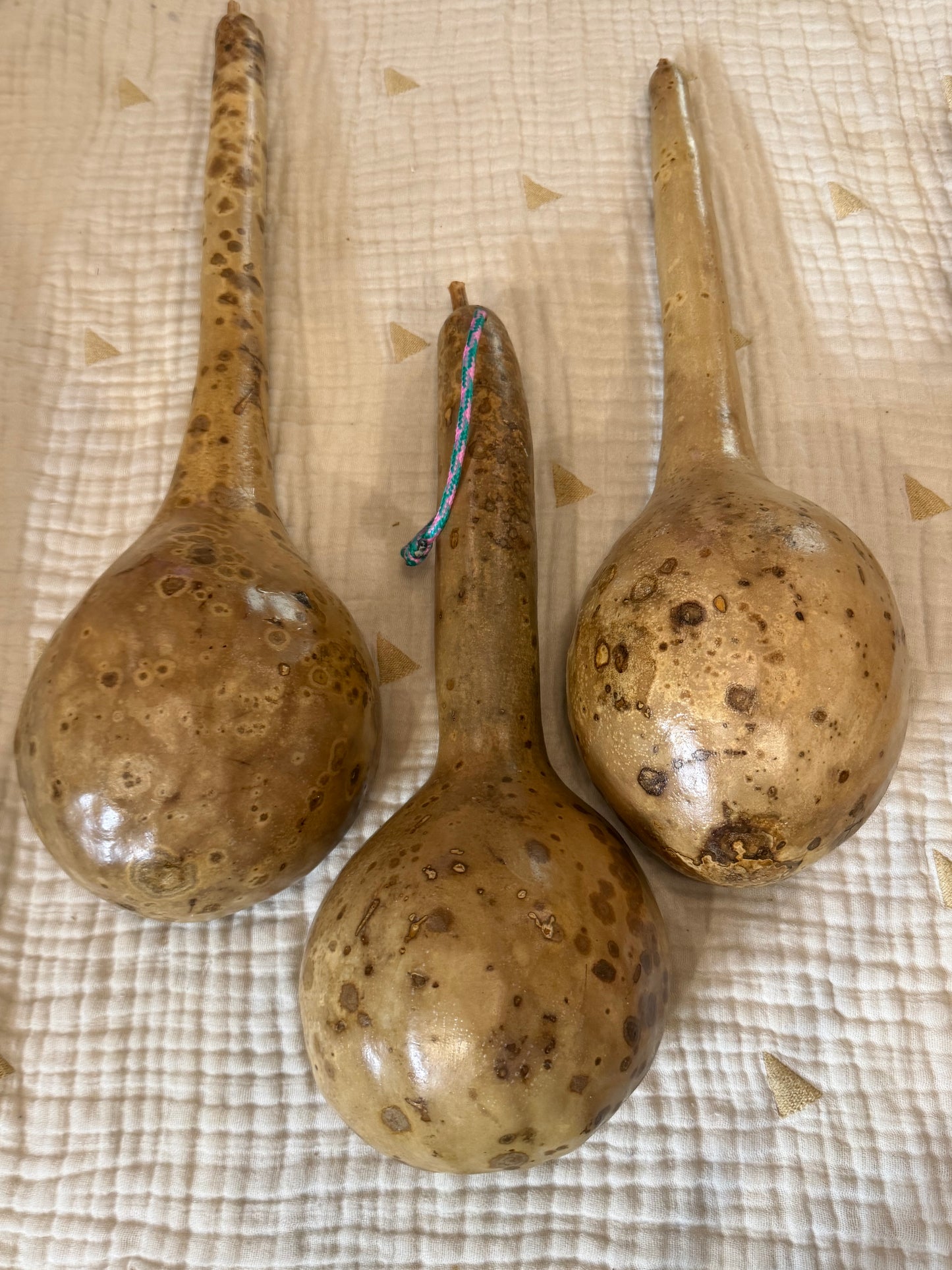 Seed-to-Bowl Gourds, Ladles, and Birdhouses (farm grown & crafted from beginning to end)