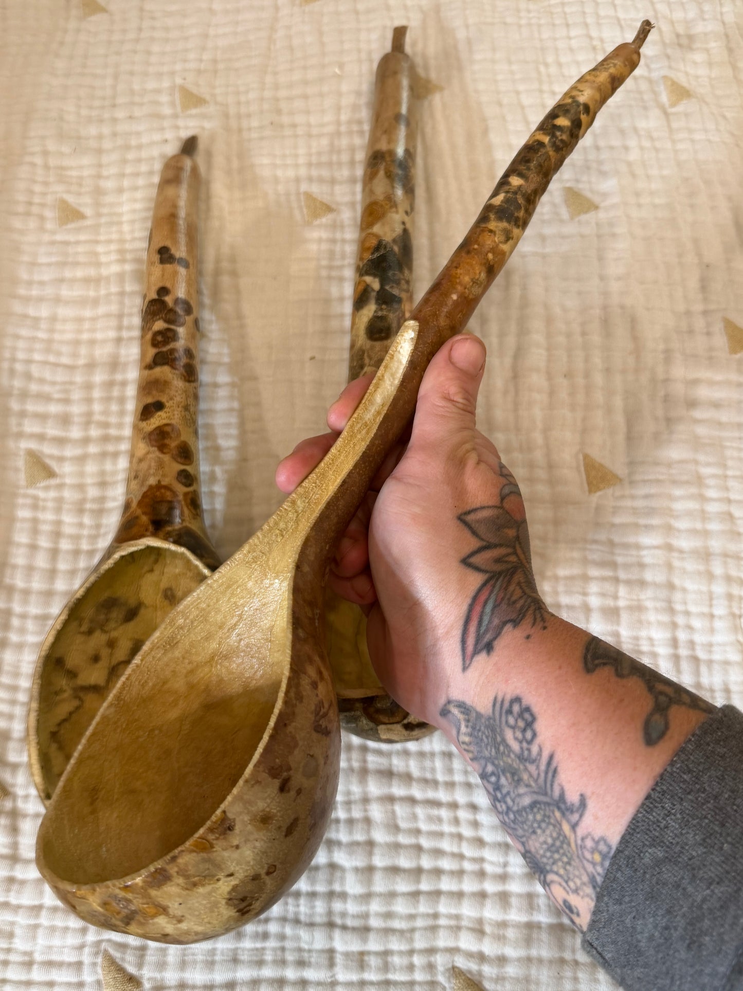 Seed-to-Bowl Gourds, Ladles, and Birdhouses (farm grown & crafted from beginning to end)