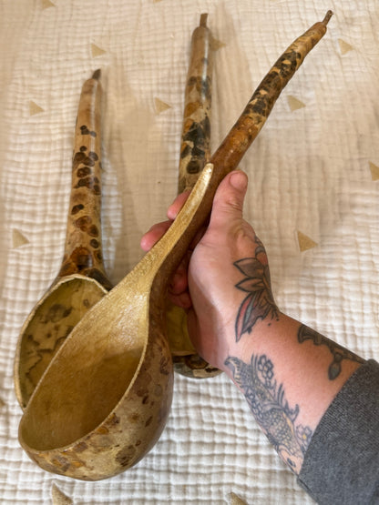 Seed-to-Bowl Gourds, Ladles, and Birdhouses (farm grown & crafted from beginning to end)