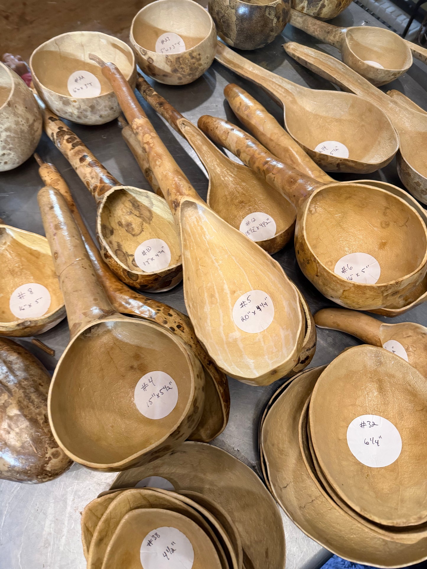 Seed-to-Bowl Gourds, Ladles, and Birdhouses (farm grown & crafted from beginning to end)