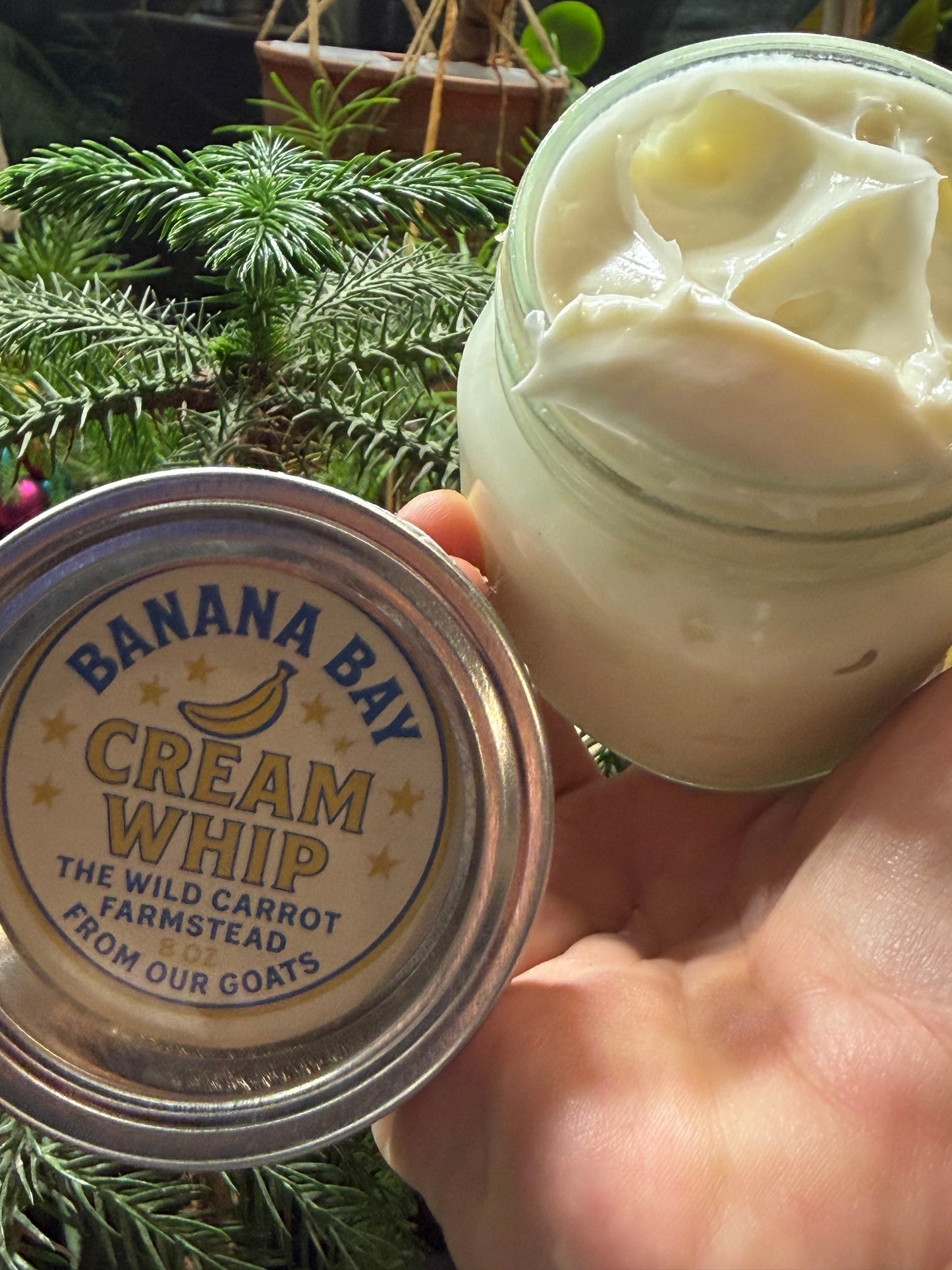 Banana Bay Cream Whip Goat Milk Whip (8oz Glass Jar)
