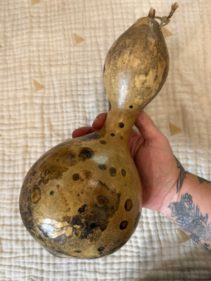 Seed-to-Bowl Gourds, Ladles, and Birdhouses (farm grown & crafted from beginning to end)