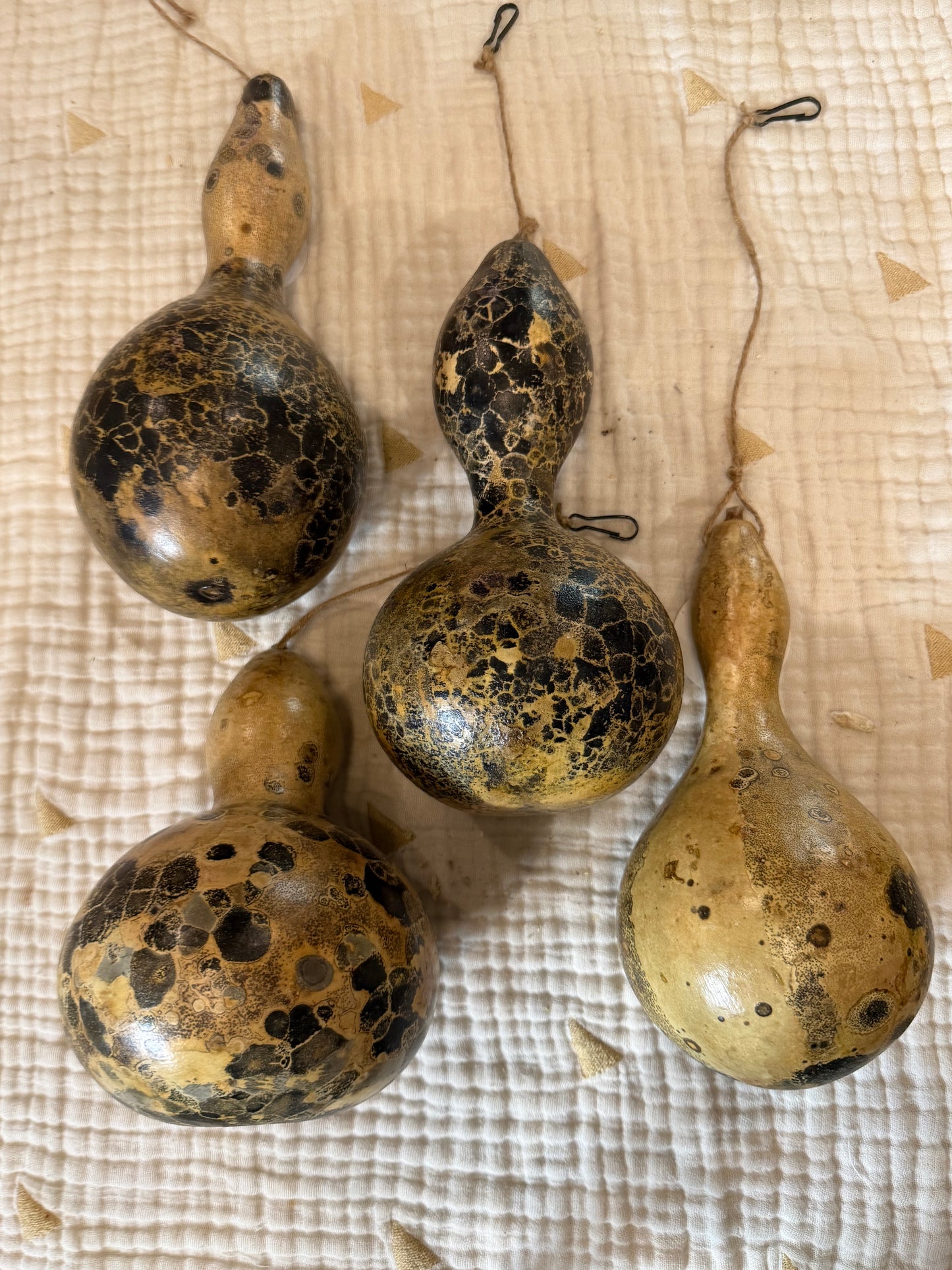 Seed-to-Bowl Gourds, Ladles, and Birdhouses (farm grown & crafted from beginning to end)