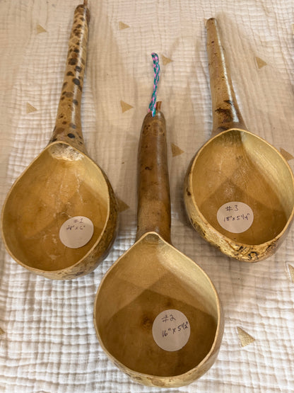 Seed-to-Bowl Gourds, Ladles, and Birdhouses (farm grown & crafted from beginning to end)