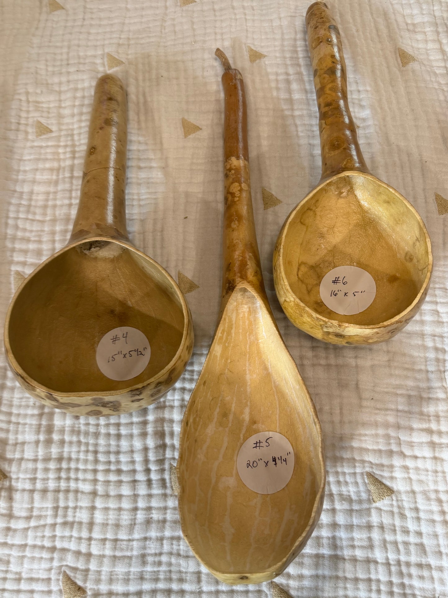Seed-to-Bowl Gourds, Ladles, and Birdhouses (farm grown & crafted from beginning to end)