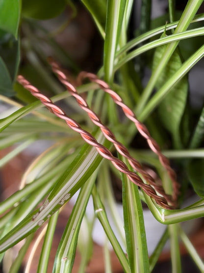 Handmade Twisted Copper Neck Bangle with 18K Gold End Caps