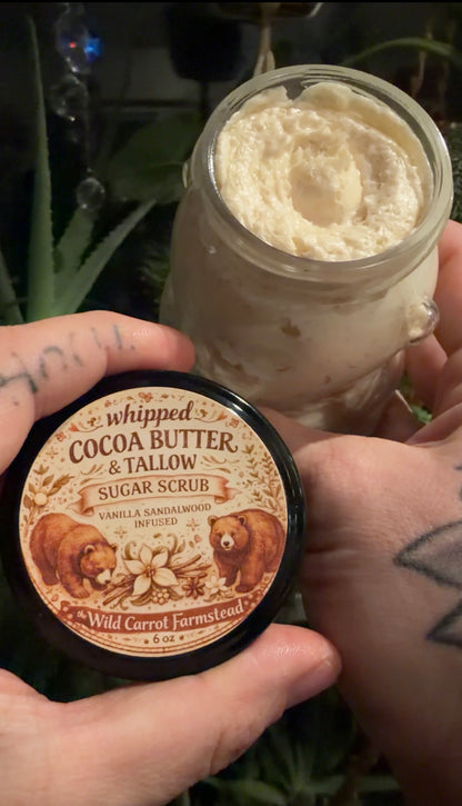 Sugar Bears: Whipped Vanilla Sandalwood Cocoa Butter & Tallow Sugar Scrub | 6 oz Teddy Bear Jar