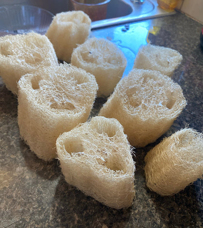 Farm-Grown Luffa Sponges (whole 6” & 8” & 14” peeled gourds)