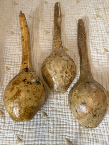 Seed-to-Bowl Gourds, Ladles, and Birdhouses (farm grown & crafted from beginning to end)