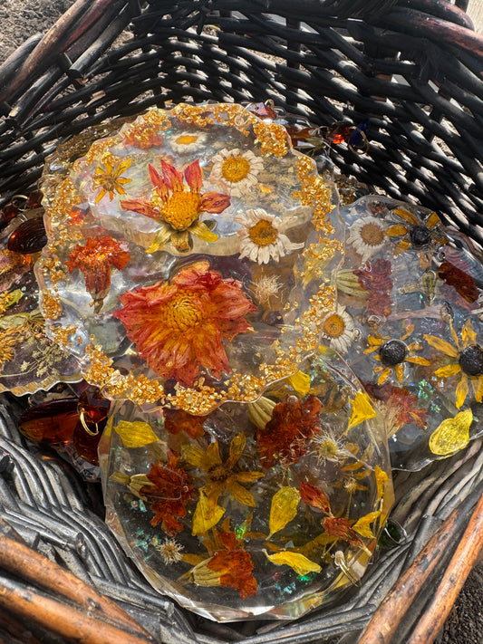 Hand Preserved Wildflower Sun Catchers (5.5 inches)