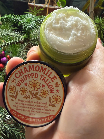 Chamomile Whipped Tallow (glass jar)