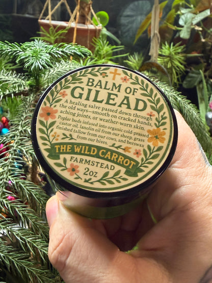 Balm of Gilead (2oz glass jar)