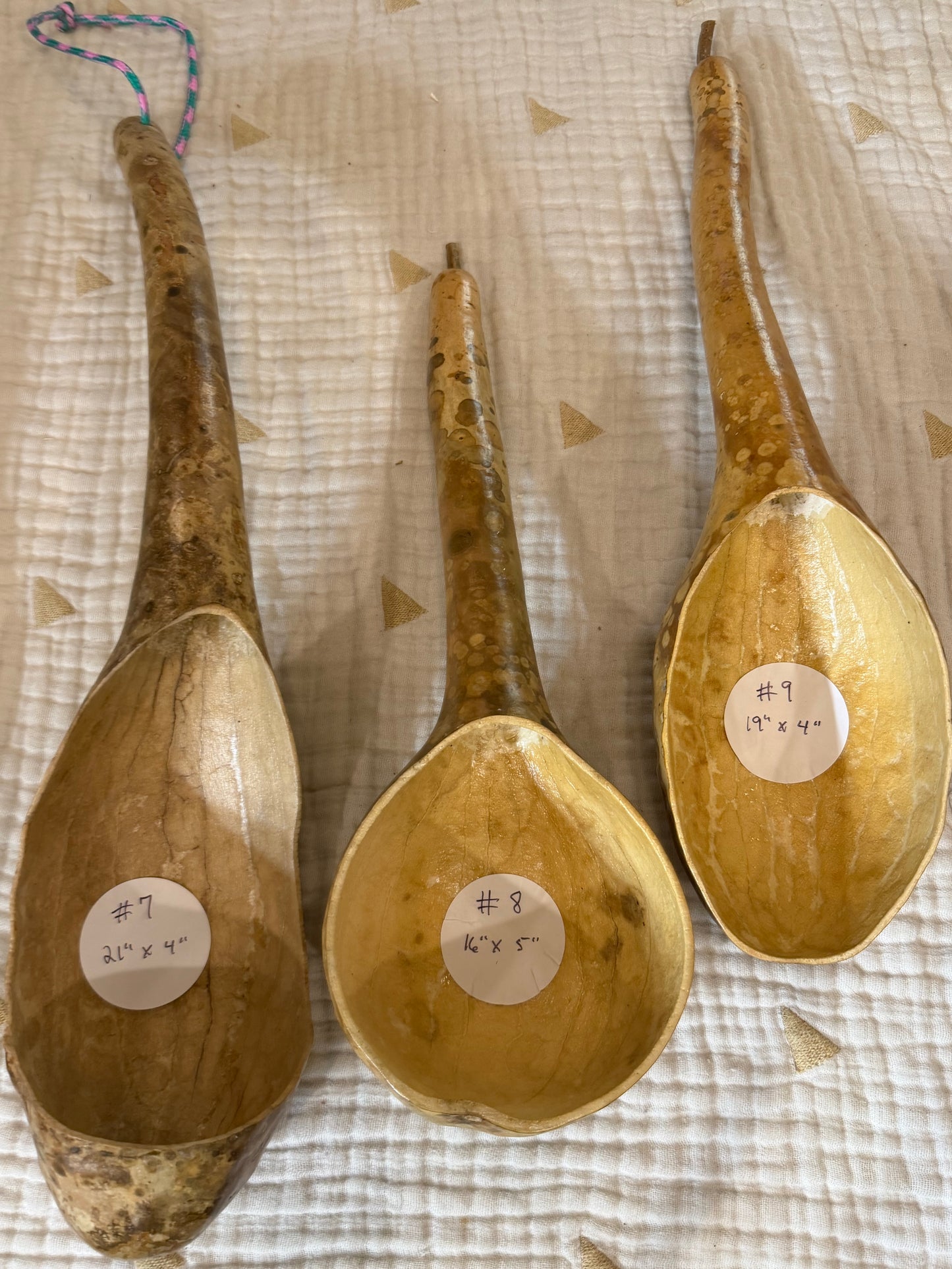 Seed-to-Bowl Gourds, Ladles, and Birdhouses (farm grown & crafted from beginning to end)