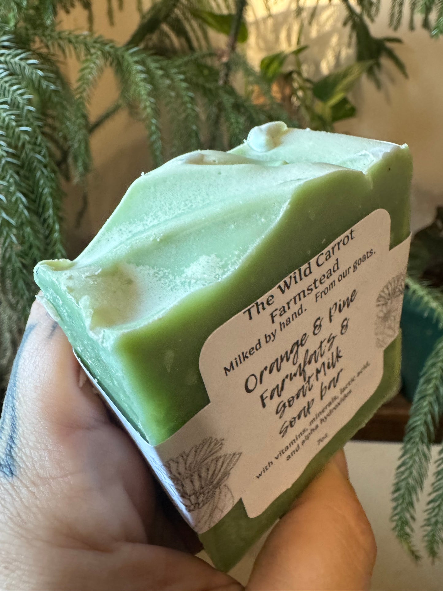 Orange & Pine Farm Fats & Goat Milk Soap Bar (7oz)