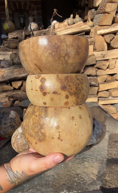 Seed-to-Bowl Gourds, Ladles, and Birdhouses (farm grown & crafted from beginning to end)