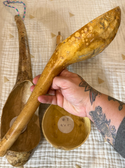 Seed-to-Bowl Gourds, Ladles, and Birdhouses (farm grown & crafted from beginning to end)